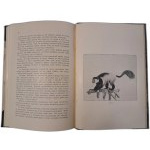 MYCIELSKI-TROJANOWSKI Edward - Wyprawa myśliwska do krainy Massaï 1911