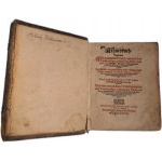 [MEDYCYNA 1594] Artzneybuch (...) Vast fuer alledes Menschlichen Leibs Anligen unnd Gebrechen ausserlesene und bewehrte Artzneyen 1594