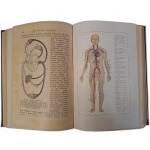 RODOWSKI Henryk - Encyklopedja życia tom I-II 1931