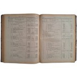DZIENNIK USTAW RZECZYPOSPOLITEJ POLSKIEJ rok 1924 nr 1-119 [komplet]