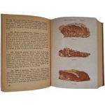 ŚLEŻAŃSKA Marja - Umiem gotować (Polish cook) 1935