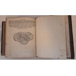 [TEOLOGIA KSIĘGA ZGODY] REINECCIUS Christian - Concordia Germanico-Latina, ad optima et antiquissima exemplaria edita 1735