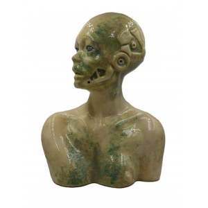 Roland Kościółek, Neo lady,