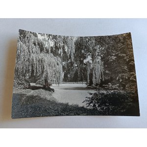 POCZTÓWKA PRL ŻYRARDÓW FRAGMENT PARKU MIEJSKIEGO