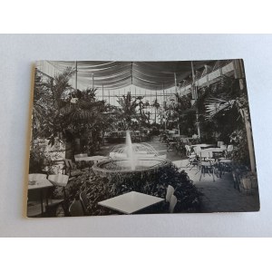 CARTOLINA PRL VERDE MONTAGNA INTERNO DELLA CASA DELLA PALMA NEL PARCO DEL VINO, CAFFÈ CLUB