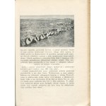 UMIASTOWSKI Roman [opr.] - Wśród trujących mgieł. Opowieści o wojnie gazowej [1933] [okł. Atelier Girs-Barcz]