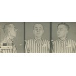 Zestaw fotografii i dokumentów po Antonim Wojciechu Piotrze hr. Platerze-Zyberku (1901-1977)