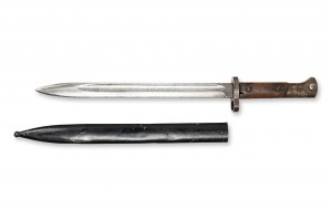 Bayonet pattern 24 | Böhmen, Czech / Bohemian
