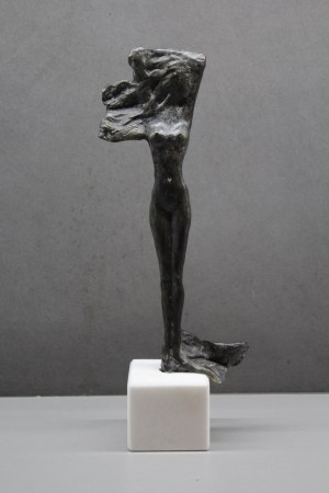 Waldemar Mazurek, Syrenka