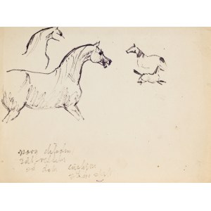 Ludwik MACIĄG (1920-2007), Croquis de chevaux