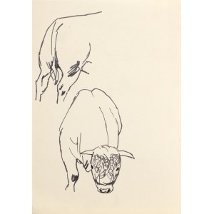 Ludwik MACIĄG (1920-2007), Byk oraz zad byka