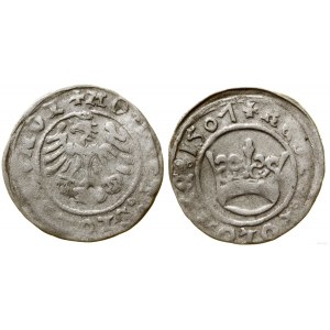 Poland, half-penny, 1507, Cracow