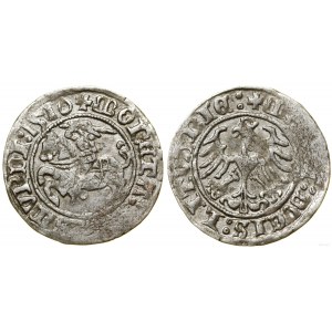 Poland, half-penny, 1510, Vilnius