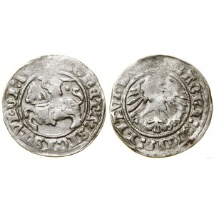 Poland, half-penny, 1513, Vilnius