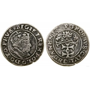 Polonia, penny, 1540, Danzica