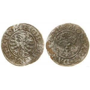 Polen, Scheląg, 1531, Danzig