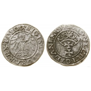 Poland, sheląg, 1539, Gdansk
