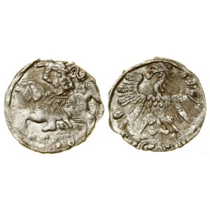 Poland, denarius, 1558, Vilnius