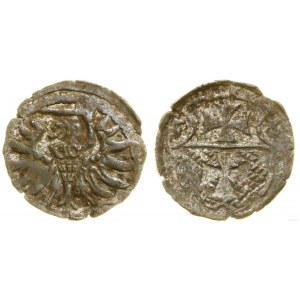 Poland, denarius, 1556, Elbląg
