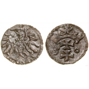 Poland, denarius, 1550, Gdansk