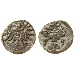 Polska, denar, 1555, Gdańsk