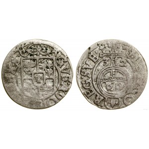 Poland, półtorak, 1632, Elbląg