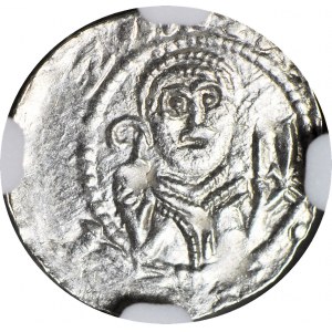 RRR-, Władysław II Wygnaniec 1138-1146, Denar, SCHEMATYCZNA PALISADA WOKÓŁ GRODU