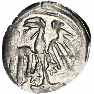 Silesia, George of Podebrad 1454-1462, Halerz no date, Lion/Eagle, mint, R5, long and thin eagle feathers