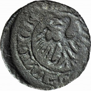 Śląsk, Ks. Oświęcimskie, Wacław I i Jan V 1433-1457, Halerz Oświęcim, R8