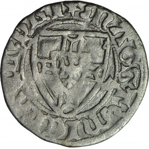 R-, Zakon Krzyżacki, Michał Küchmeister von Sternberg 1414-1422, Szeląg, ozdobne przerywniki
