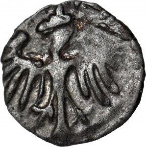 Władysław III Warneńczyk, Denar, Kraków, piękny