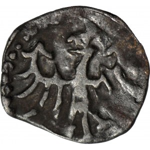 Władysław III Warneńczyk, Denar, Kraków, piękny