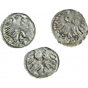 Aleksander Jagiellończyk 1492-1506, Denar litewski, 3 egzemplarze