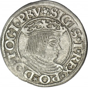 Sigismund I the Old, 1534 penny, Gdansk, PRV