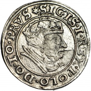 Zygmunt I Stary, Grosz 1539 Gdańsk, PRVS