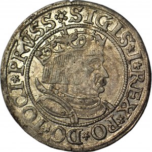 Sigismund I the Old, 1533 penny, Torun, PRVSS/PRVSSIE, glossy