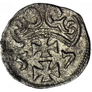 R-, Zygmunt II August Denar 1557, Gdańsk, ozdobny styl