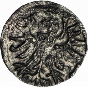 R-, Žigmund I. Starý, denár 1546, Gdansk, krásny