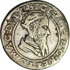 Sigismund II Augustus, Foursquare 1569, Vilnius, tip L