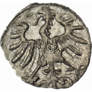R- Sigismund II Augustus, Denarius 1557, Vilnius, rare, T.10mk