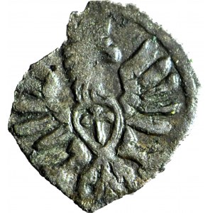 RRR-, Sigismond III Vasa, denier Poznań SANS DATE, T.50m ?, R8
