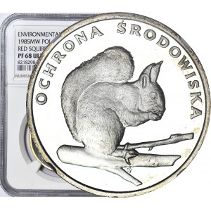 500 Gold 1985, Squirrel