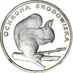 500 Gold 1985, Squirrel