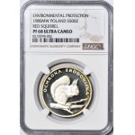 500 Gold 1985, Squirrel