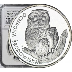 500 Gold 1986, Owl with young