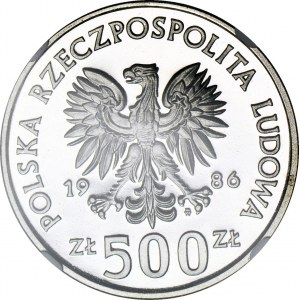 500 Gold 1986, Owl with young