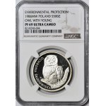 500 Gold 1986, Owl with young
