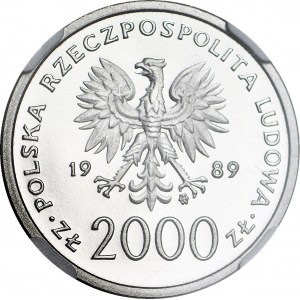 2000 Gold 1989, John Paul II, Grille, SAMPLE NIKIEL