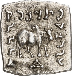 STAROVĚKÉ ŘECKO - ŘECKÉ království Baktrie, Apollodotes I. (180-160 př. n. l.). Čtvercová drachma indické váhy ND.