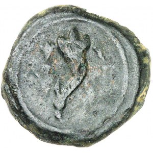 GAULE - CELTIC Longostalètes. Bronze à la corne d’abondance ND (c.75-25 av. J.-C.).